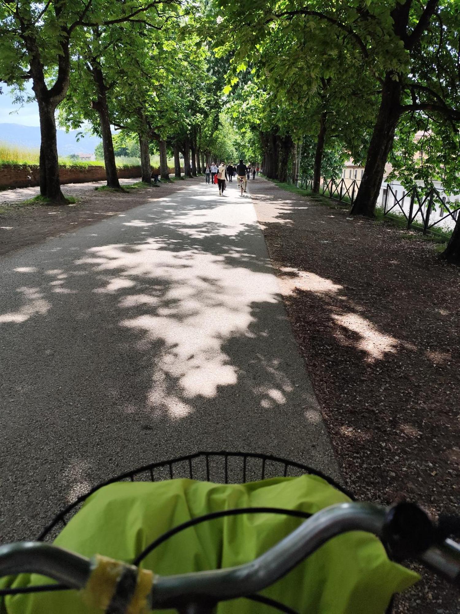 Casa Rosina + Box Per Auto 2 Bici 1,5Km Dalle Mura Λούκα Εξωτερικό φωτογραφία